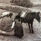 Les foins dans le Val de Bagnes